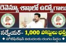 TG Revenue Department Jobs: తెలంగాణ రెవెన్యూ శాఖలో సర్వేయర్ ఉద్యోగాలు భర్తీ.. 1,000 పోస్టులు