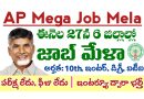 AP Mega Job Mela: ఈనెల 27న 6 జిల్లాల్లో ఉద్యోగ మేళా నిర్వహణ.. అర్హతలు: 10th, ఇంటర్, డిగ్రీ, ఐటీఐ, డిప్లొమా