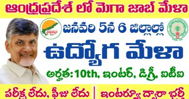 AP Mega Job Fair: ఆంధ్రప్రదేశ్ 6 జిల్లాల్లో మెగా జాబ్ మేళా నిర్వహణ.. 10th, ఇంటర్, డిగ్రీ, ఐటిఐ, డిప్లొమా అర్హతలు