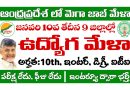 AP Job Mela: రేపు 9 జిల్లాల్లో ఉద్యోగ మేళా నిర్వహణ. రాత పరీక్ష లేకుండా ఉద్యోగాలు భర్తీ.. అర్హత: 10th, ఇంటర్, డిగ్రీ, ఐటీఐ, డిప్లొమా, బీటెక్