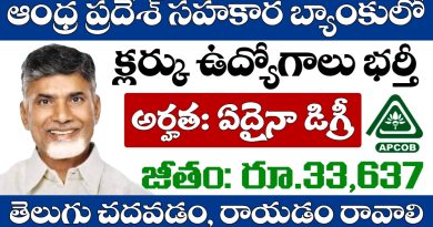 AP Govt Jobs: ఆంధ్రప్రదేశ్ సహకార బ్యాంకులో క్లర్క్ ఉద్యోగాల భర్తీకి నోటిఫికేషన్ విడుదల.. తెలుగు చదవడం, రాయడం రావాలి