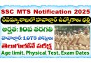 SSC MTS 2025: 10th క్లాస్ అర్హతతో MTS మరియు హవాల్దార్ ఉద్యోగాలు భర్తీకి నోటిఫికేషన్ విడుదల