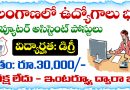 Telangana Jobs: 30 వేల జీతంతో తెలంగాణలో కంప్యూటర్ అసిస్టెంట్ ఉద్యోగాలు భర్తీకి నోటిఫికేషన్ విడుదల