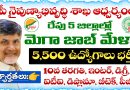 Job Mela: నైపుణ్యాభివృద్ధి శాఖ ఆధ్వర్యంలో రేపు 5 జిల్లాల్లో జాబ్ మేళా నిర్వహణ.. 5,500 ఉద్యోగాలు భర్తీ