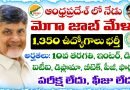 Today Mega Job Mela in Andhra Pradesh
