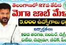 Mega Job Mela in Karimnagar
